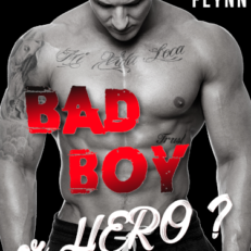 Bad Boy or Hero ? de Mady Flynn